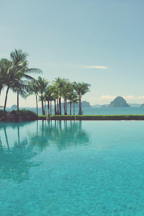 bluish #palm #tropical #pool #island #summer #trees