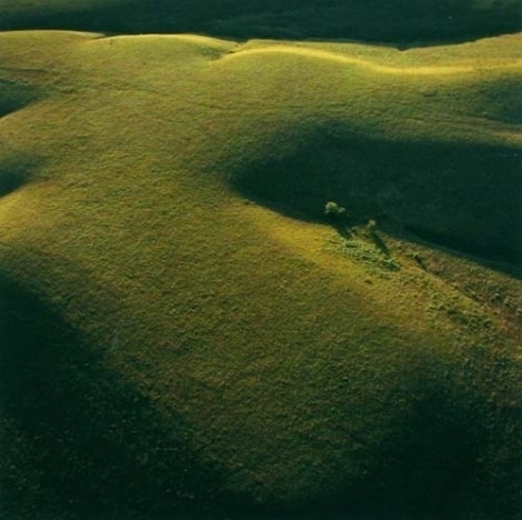 [rafdevis] - Terry Evans #evans #photography #terry