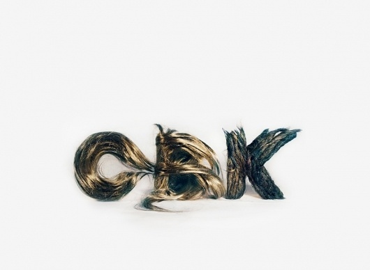 chickenbrainken hair logo #hair #logo #identity