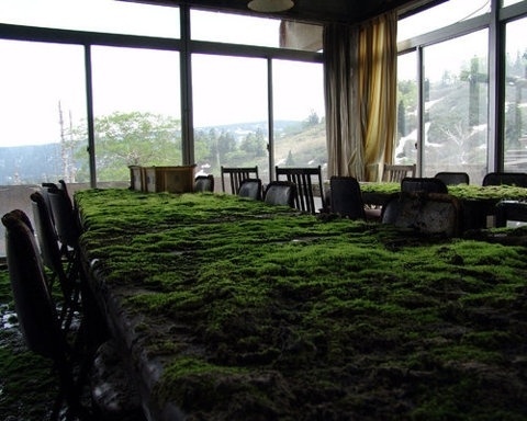 FFFFOUND! | Where is my mind? #in #office #grass