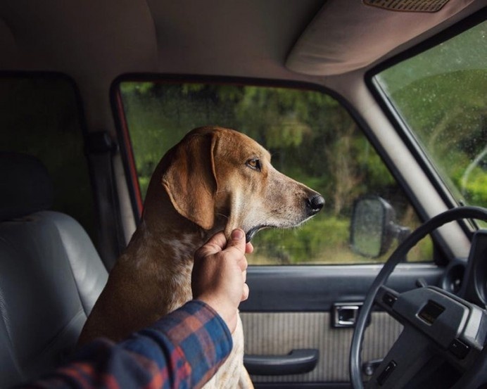 Photographer Takes His Rescued Dog Maddie On Epic Adventures