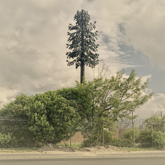 Cell phone towers disguised as trees by South African artist Dillon Marsh #tree #tower #art