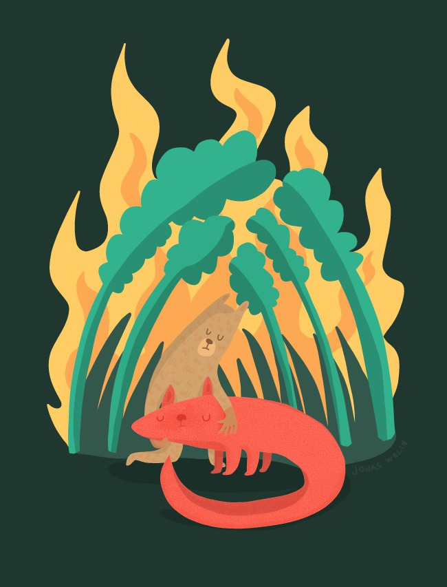 Forest on fire by Jonas Welin