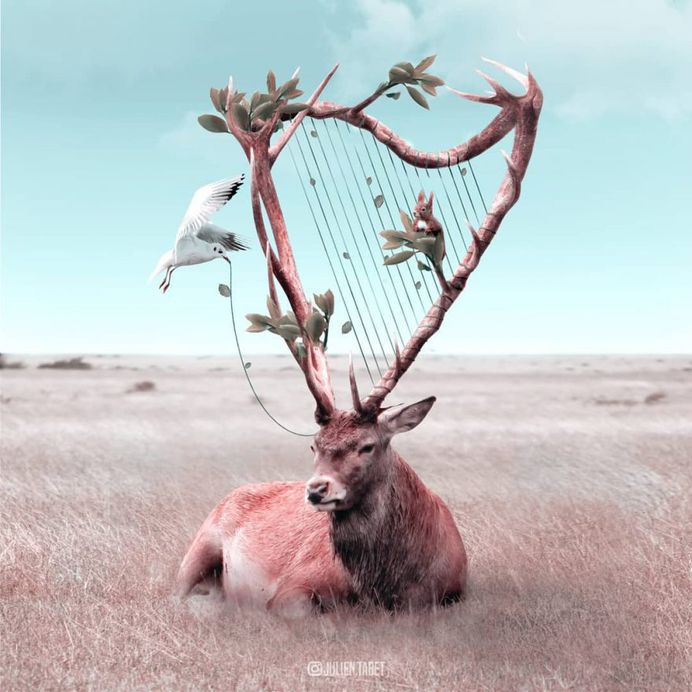 Dreamlike Animals: Whimsical Photo Manipulations by Julien Tabet