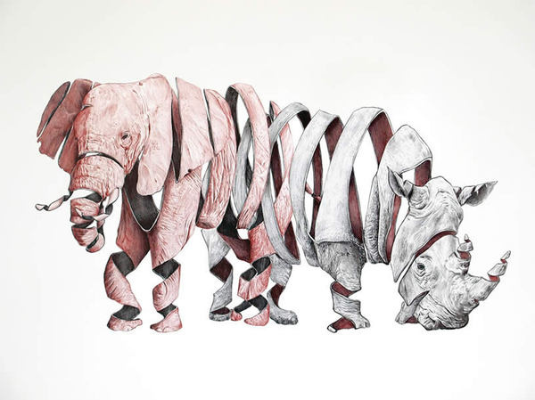Elephant and rhino ribbon drawing by Jaume Montserrat #rhino #elephant #illustration #ribbon #art #animals #surreal #drawing