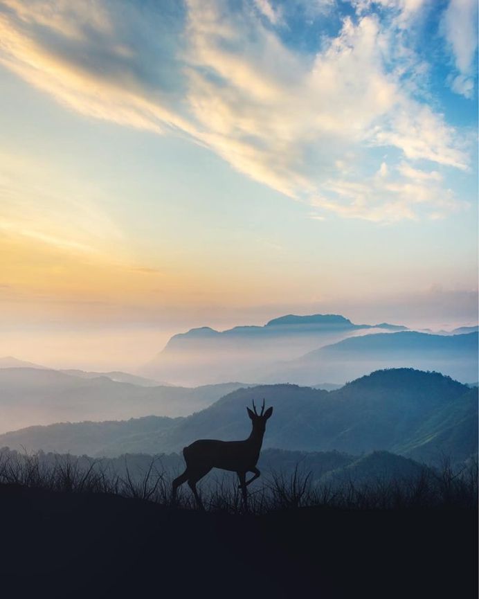 Breathtaking and Dreamlike Landscape Photography by Stijn Dijkstra