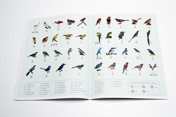 Deyrolle magazine on Behance #birds #design #graphic #editorial