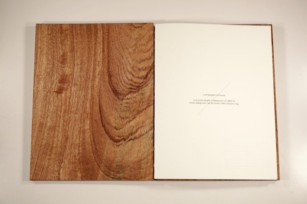 https://www.behance.net/gallery/001/3743283 #wood #book