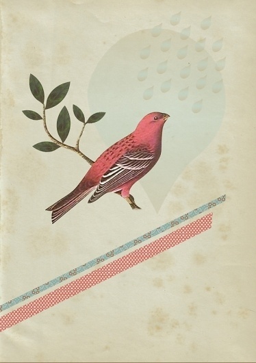 7786dc8a9288cd39127bbe7be5c9e150.jpg 600 × 849 pixels #drops #rain #collage #bird