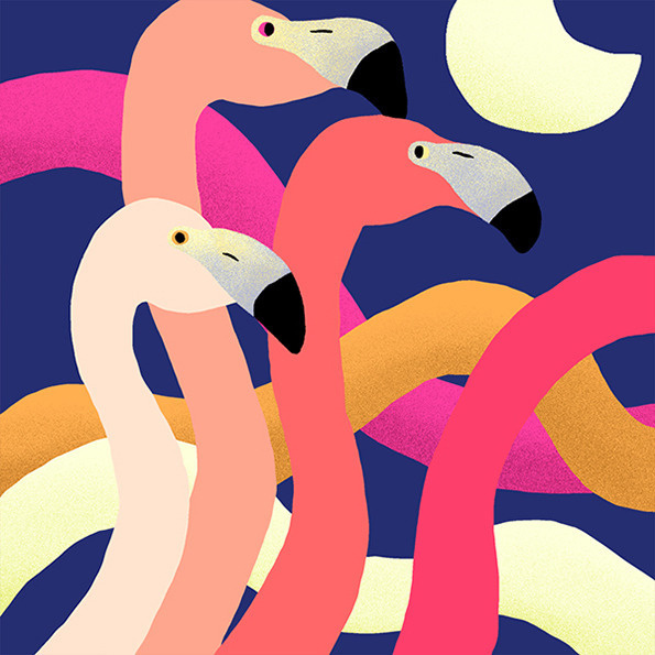 Illustrations idea #172: Flamingo #illustration #colors
