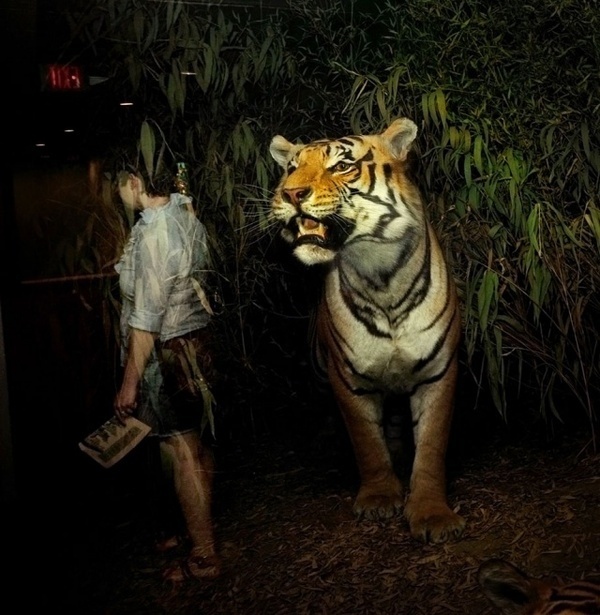Natural History #inspiration #photography #art #fine