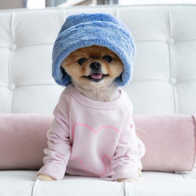 Jiffpom