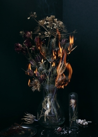 Every reform movement has a lunatic fringe #photography