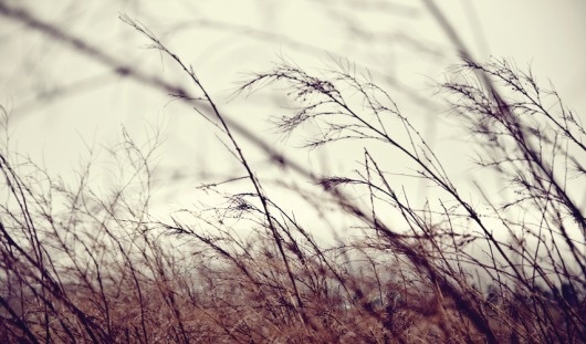 MEW / PHOTOGRAPHY #designerwithacamera #photography #landscape