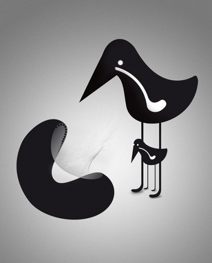 bird #birds #illustration #white #black