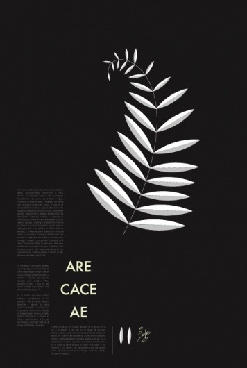 plants : aida novoa : Portfolios : Domestika