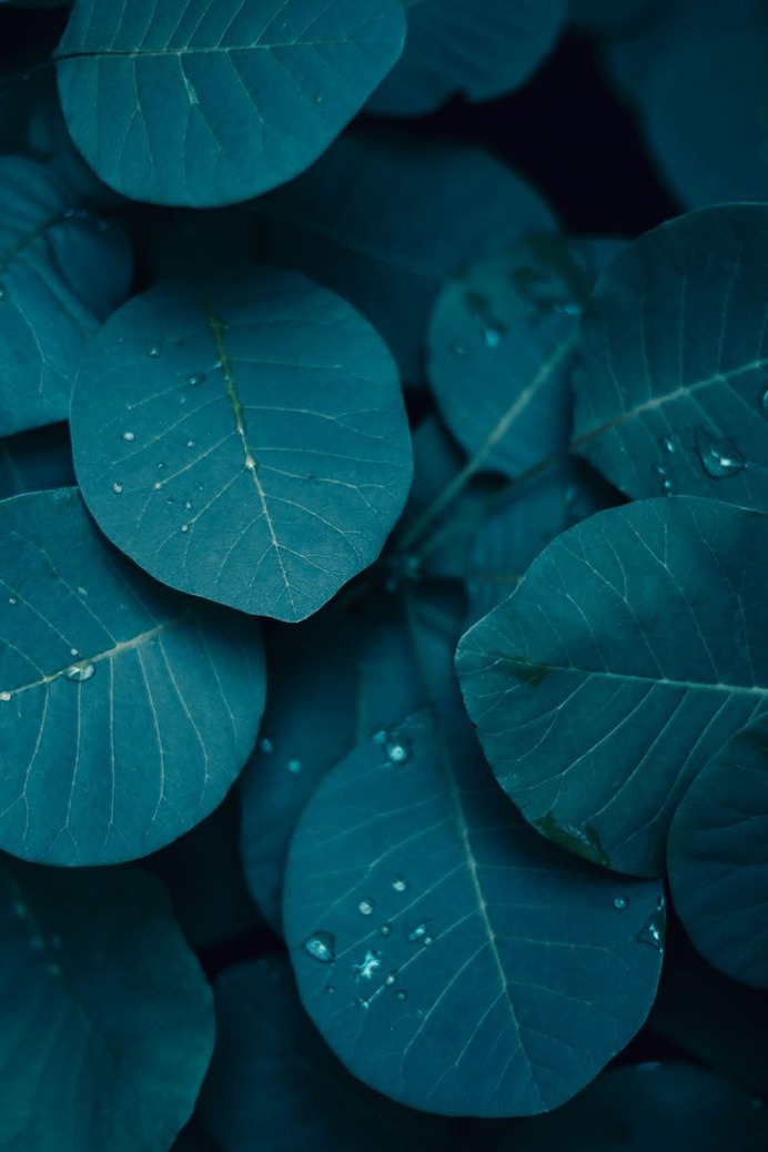Photography by Xuebing DU