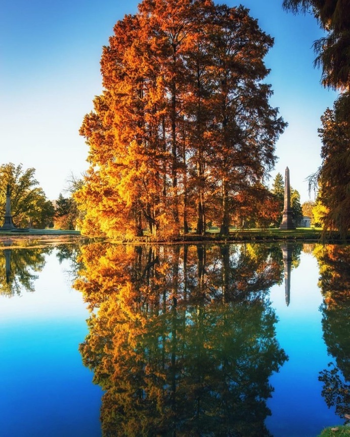 Beautiful and Colorful Instagrams by Steve Zeinner