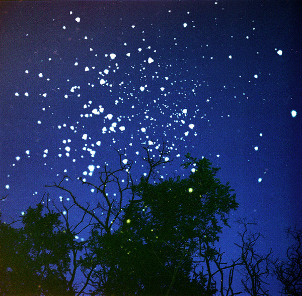 by Cyril Costilhes #stars #sky #photography #landscape