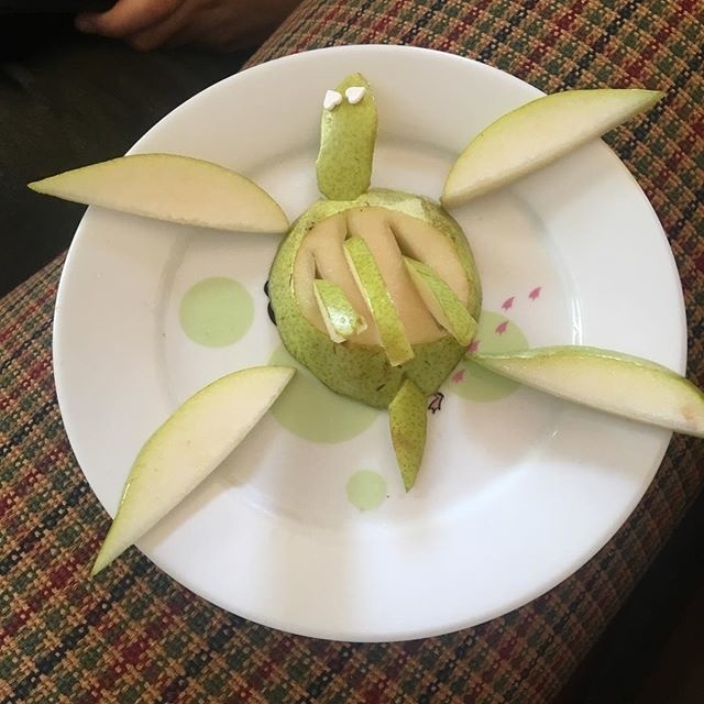 Fun Breakfast for Bodhi, a solar supersonic pear turtle ~ ala Dave Ross