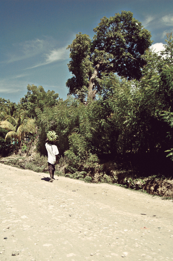 Photographic Inspiration on the Behance Network #photography #sun #trees #island #summer #road #banana #hot #haiti #bananas #caribbean
