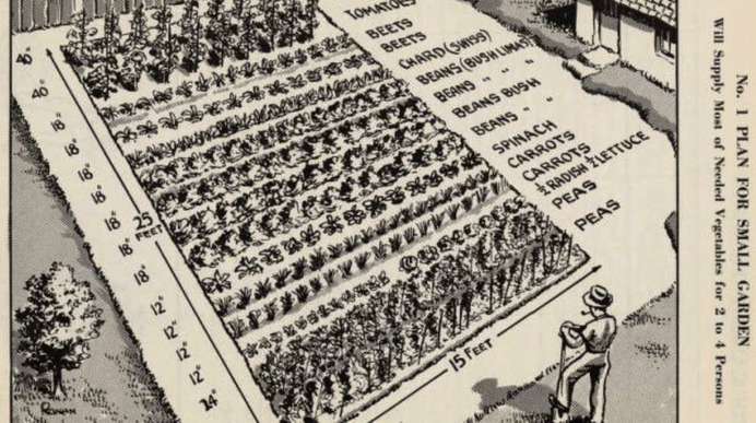 Victory Garden Layout