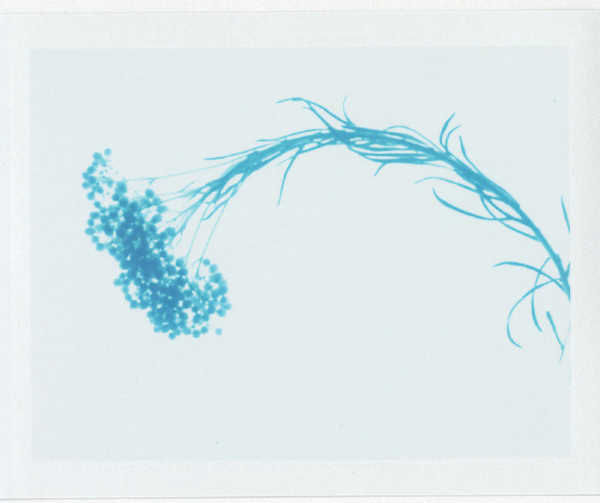 Polaroid Photography by Taylor Curry #inspiration #photography #portrait