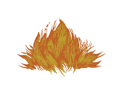 Flame Dribbble #flame