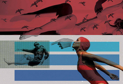 crítica | criticism #cap #birds #swimming