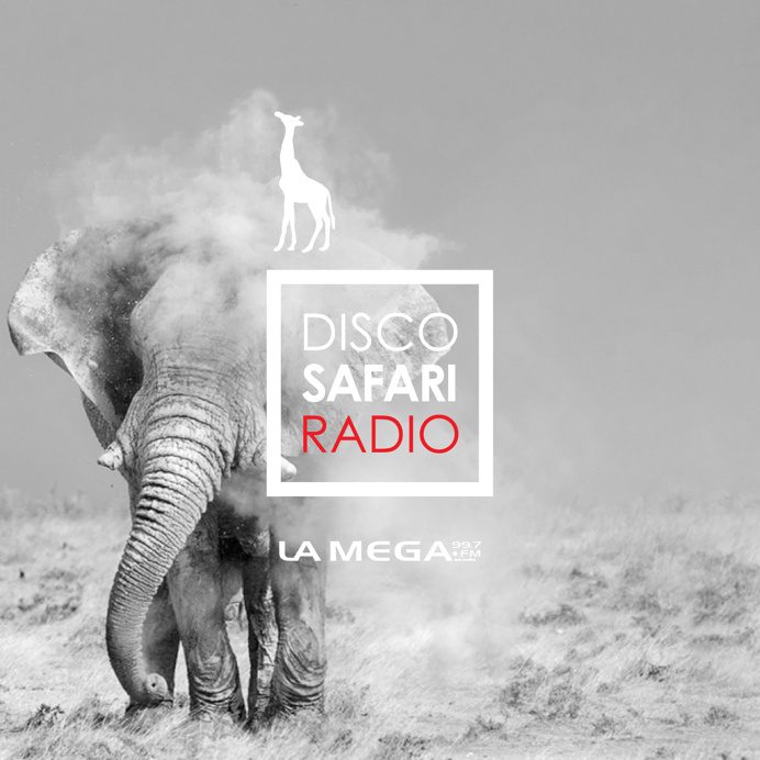 #elephant #jiraffe #radio #design #branding