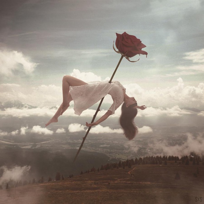 Float and Rose by StevneKin on DeviantArt