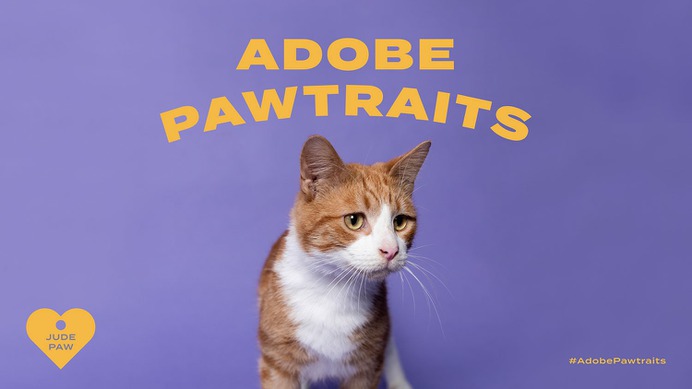Adobe Pawtraits - Mindsparkle Mag For The People & ilana grace designed this beautiful project named Adobe Pawtraits. #logo #packaging #identity #branding #design #color #photography #graphic #design #gallery #blog #project #mindsparkle #mag #beautiful #portfolio #designer