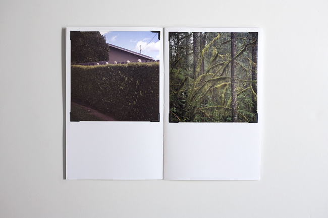 I FEEL BETTER ~ BIT BY ZEUS ~ Tim Gatto #zine #publication