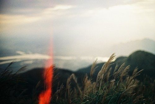 The Design Vault #cali #photography