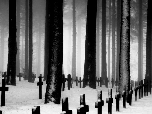 Invisible Monster. #cemetery #photography #fog