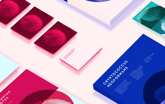 CRYPTOCOCCUS #science #brand #inspiration #mariadesign