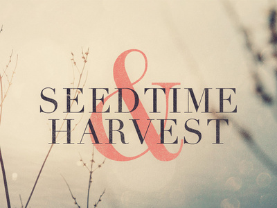 Seedtime & Harvest #logo