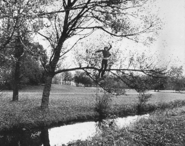 bas jan ader