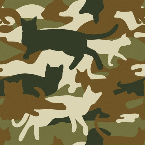 http://blog.bytourists.com/post/41262017372/shop meow #pattern #army #camo #cat #cats