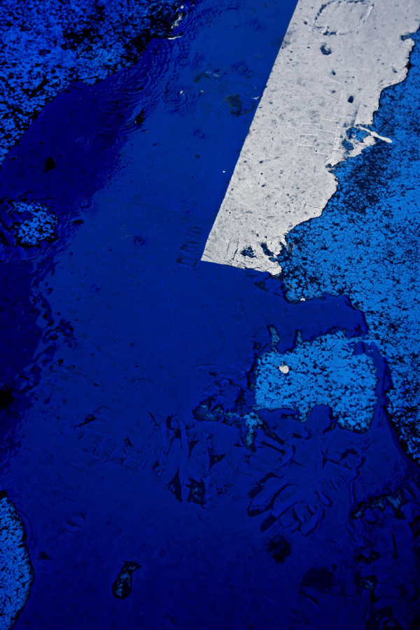 Fabrizio Raschetti | PICDIT