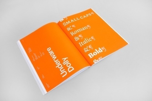 BERG BLOG - #orange #proint