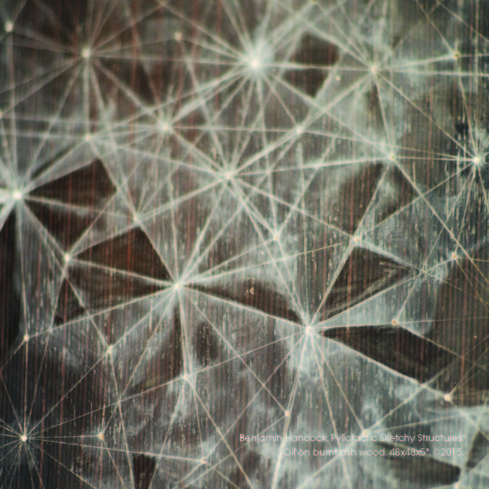 3.1415 - SCAR #generative #geometry #wood #art #oil