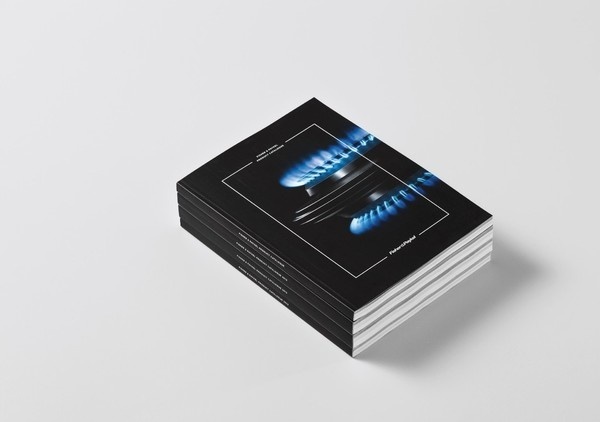 Best Awards Alt Group. / Fisher & Paykel Product Brochure #awards #group #fisher #paykel #alt #best #product #brochure