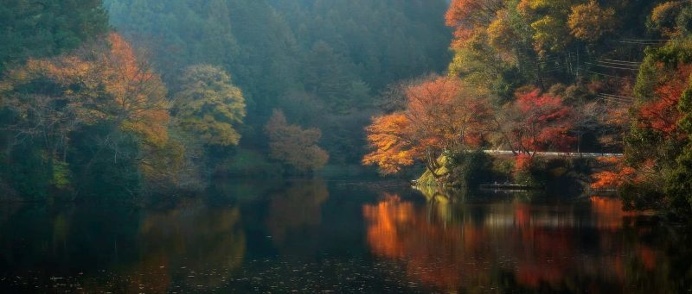 Breathtaking Landscapes of Japan by Miyamoto Yoshihisa