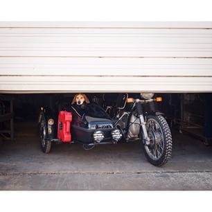 Instagram photo by thiswildidea - Good things coming soon. Theron Humphrey #moto #sidecar #dog