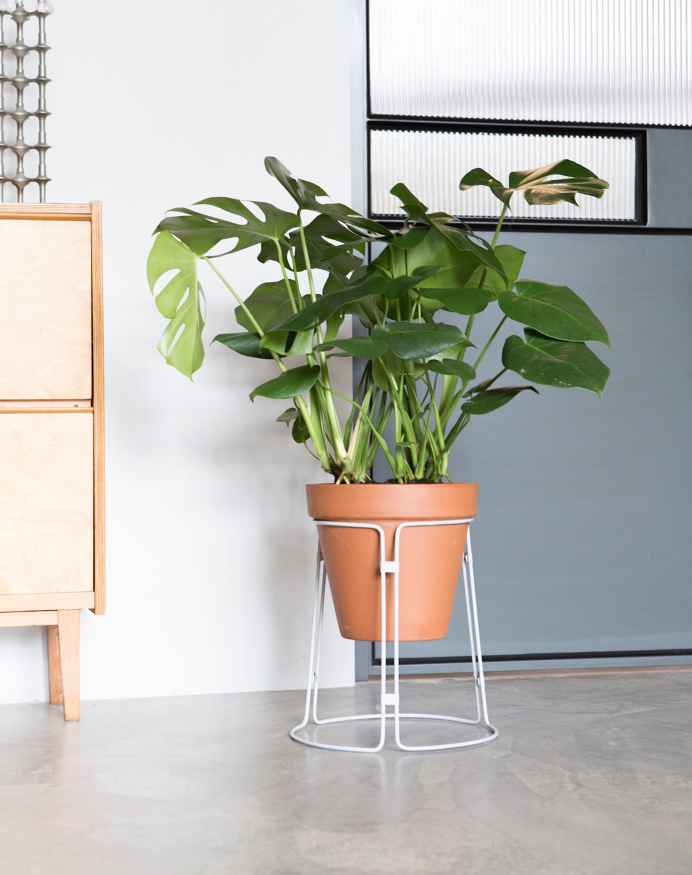 Plantscape