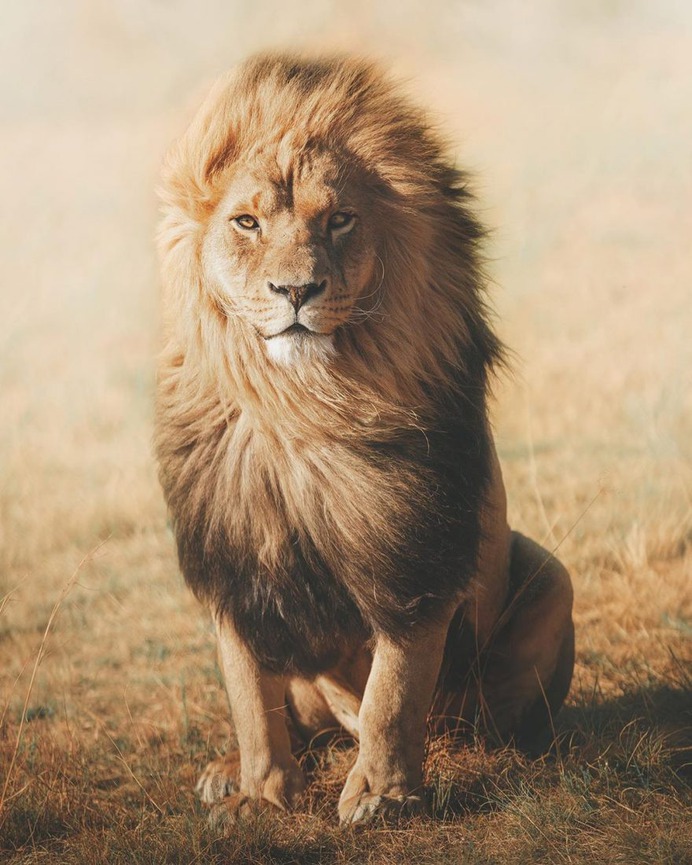 Outstanding Wildlife and Adventure Photography by Charly Savely