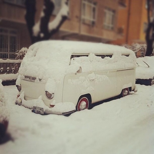 ibus #gkutlular #photography #ibus
