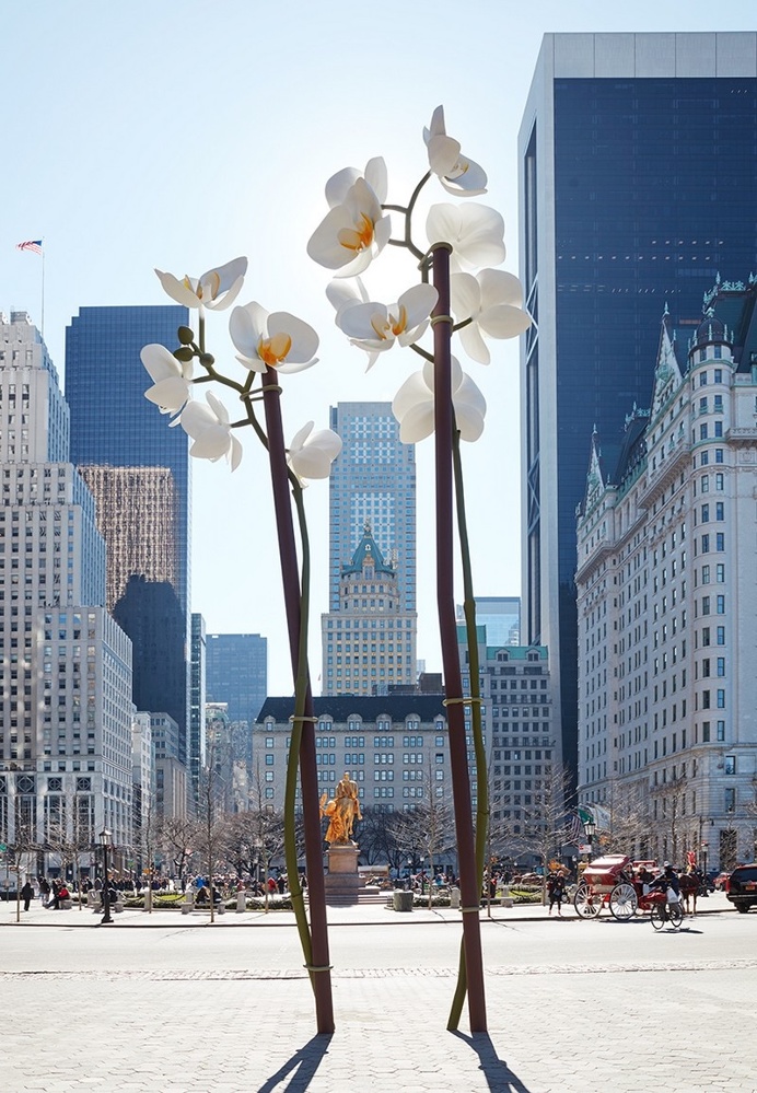 Two Orchids Herald the Entrance to Central Park in New York