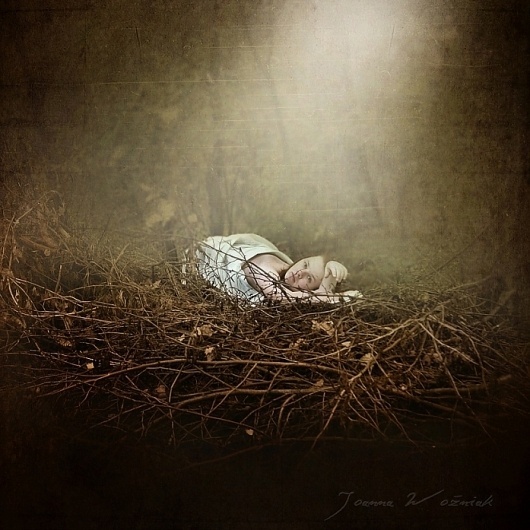 In Home, Artwork by Joanna Woźniak #forest #woman